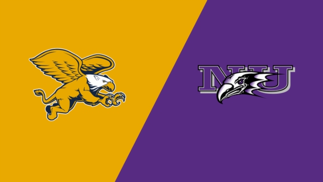 况及球队目 况及球队目